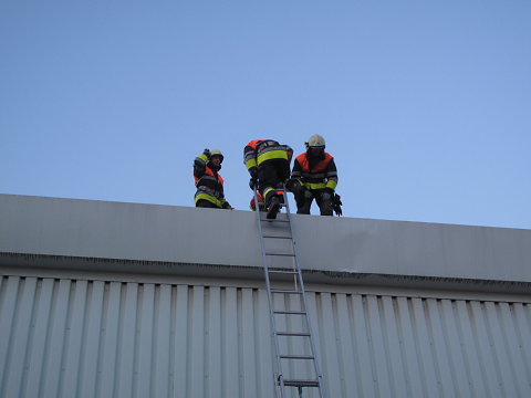 IMG-2469.JPG
