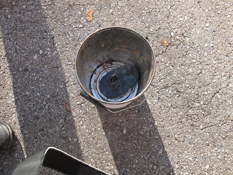 IMG-2938.JPG