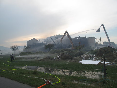 IMG-3474.JPG