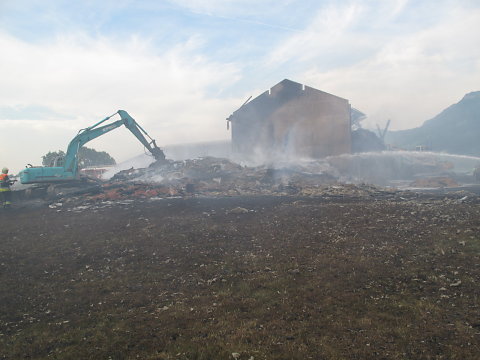 IMG-3466.JPG