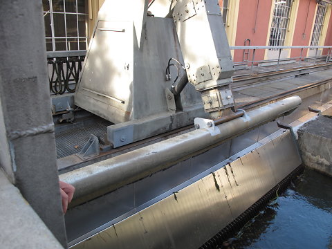 IMG-3874.JPG