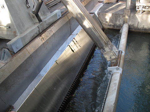 IMG-3875.JPG