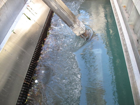 IMG-3876.JPG