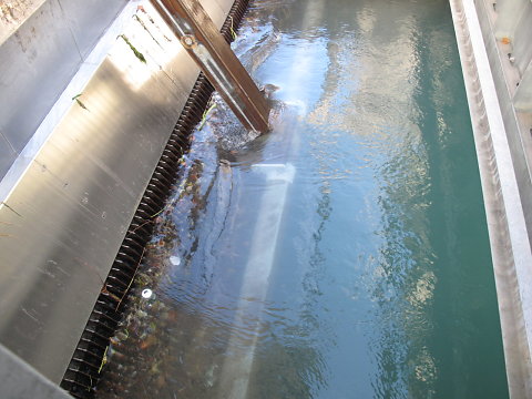 IMG-3878.JPG