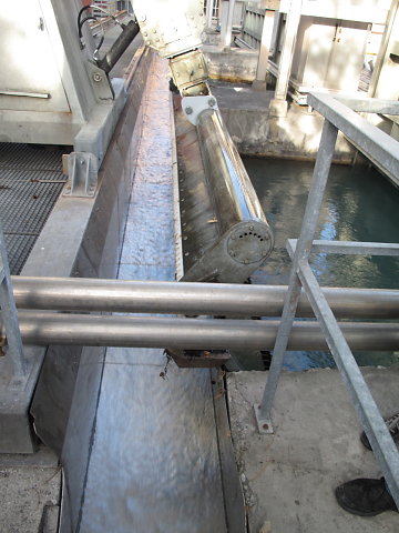 IMG-3881.JPG