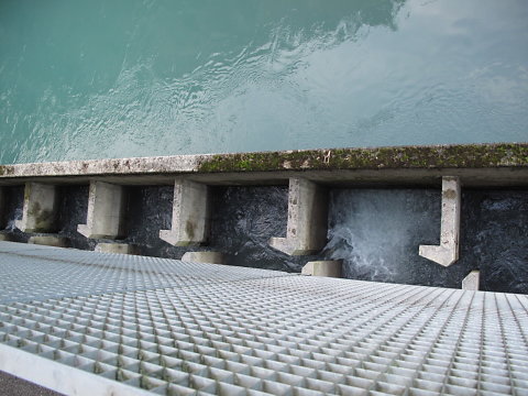 IMG-3887.JPG
