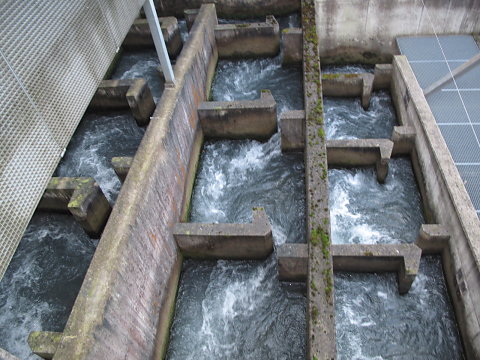 IMG-3889.JPG