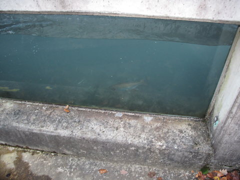IMG-3891.JPG