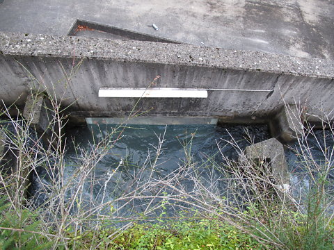 IMG-3892.JPG