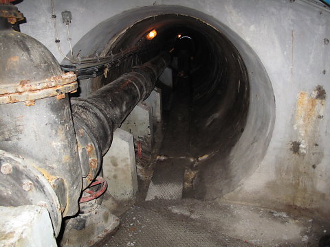IMG-3894.JPG