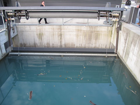 IMG-3908.JPG
