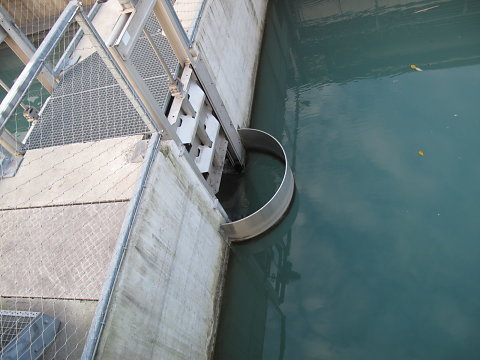 IMG-3911.JPG