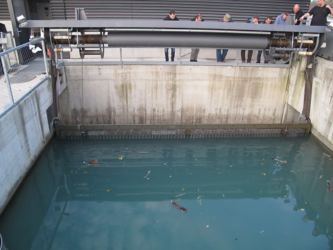 IMG-3913.JPG