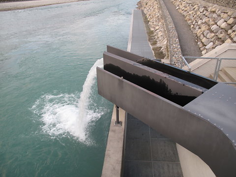 IMG-3914.JPG