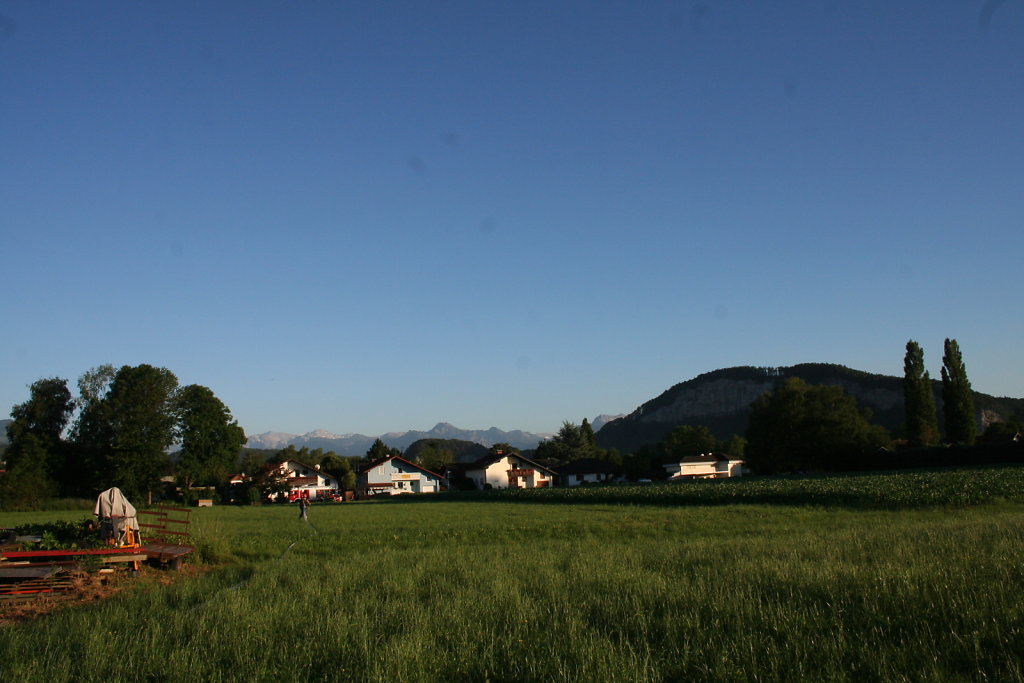 IMG-3187.JPG
