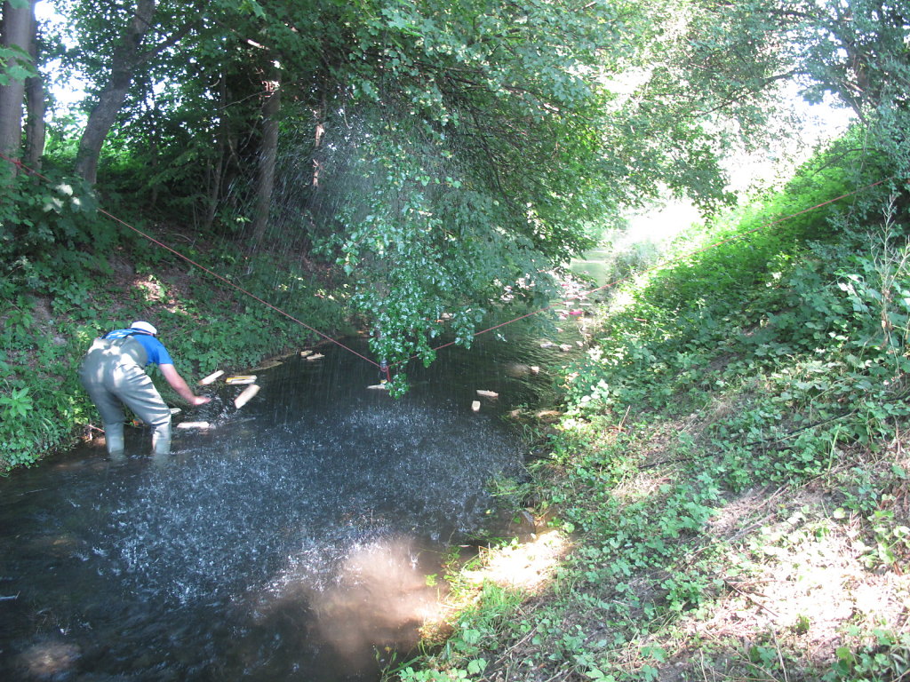 IMG-0231.JPG