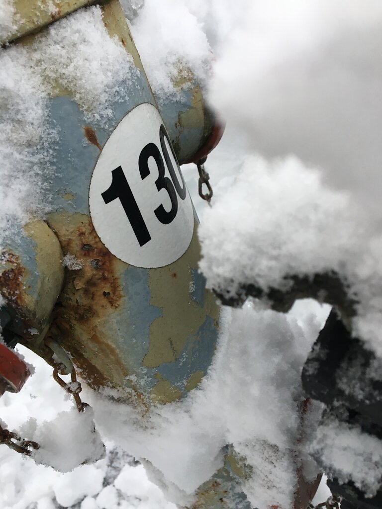 IMG-3495.JPG